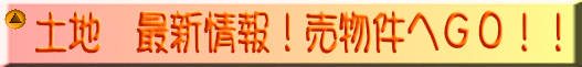 �y�n�@�ŐV���I�������ւf�n�I�I 